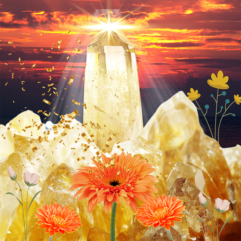 citrine-program-for-money