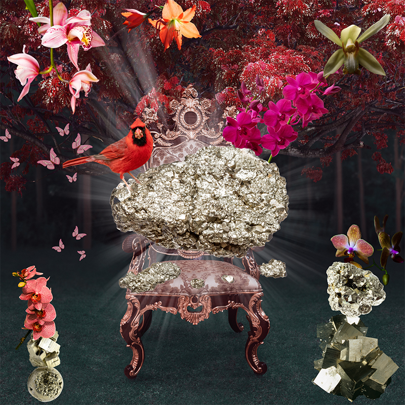 Pyrite-program-for-money