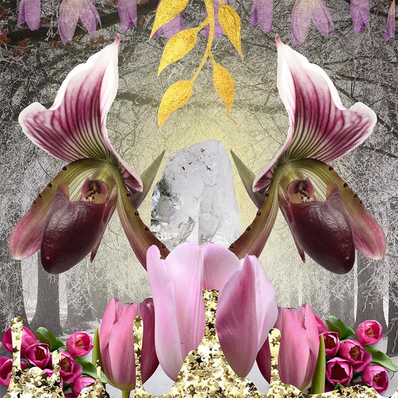 white-beryl-program-for-money