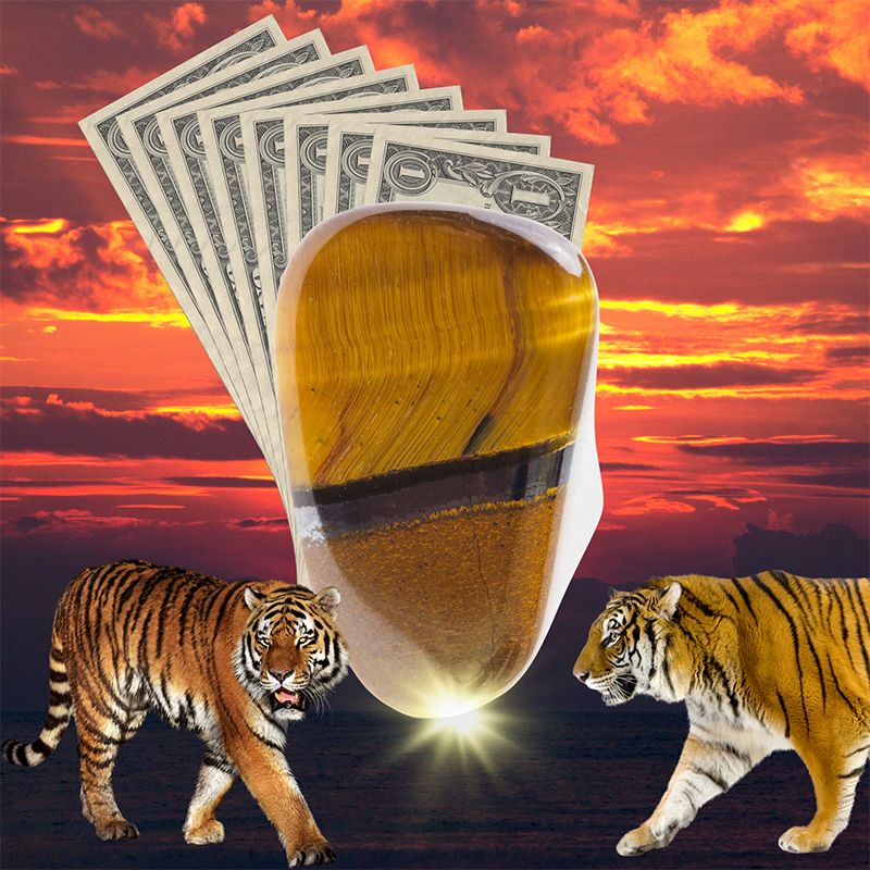 Tigers-eye-program-for-money