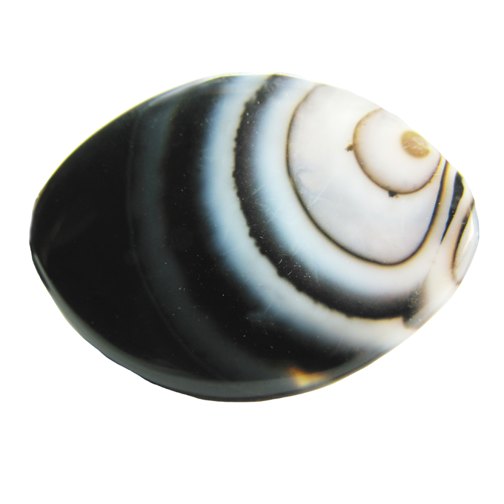 Black-White-Agate