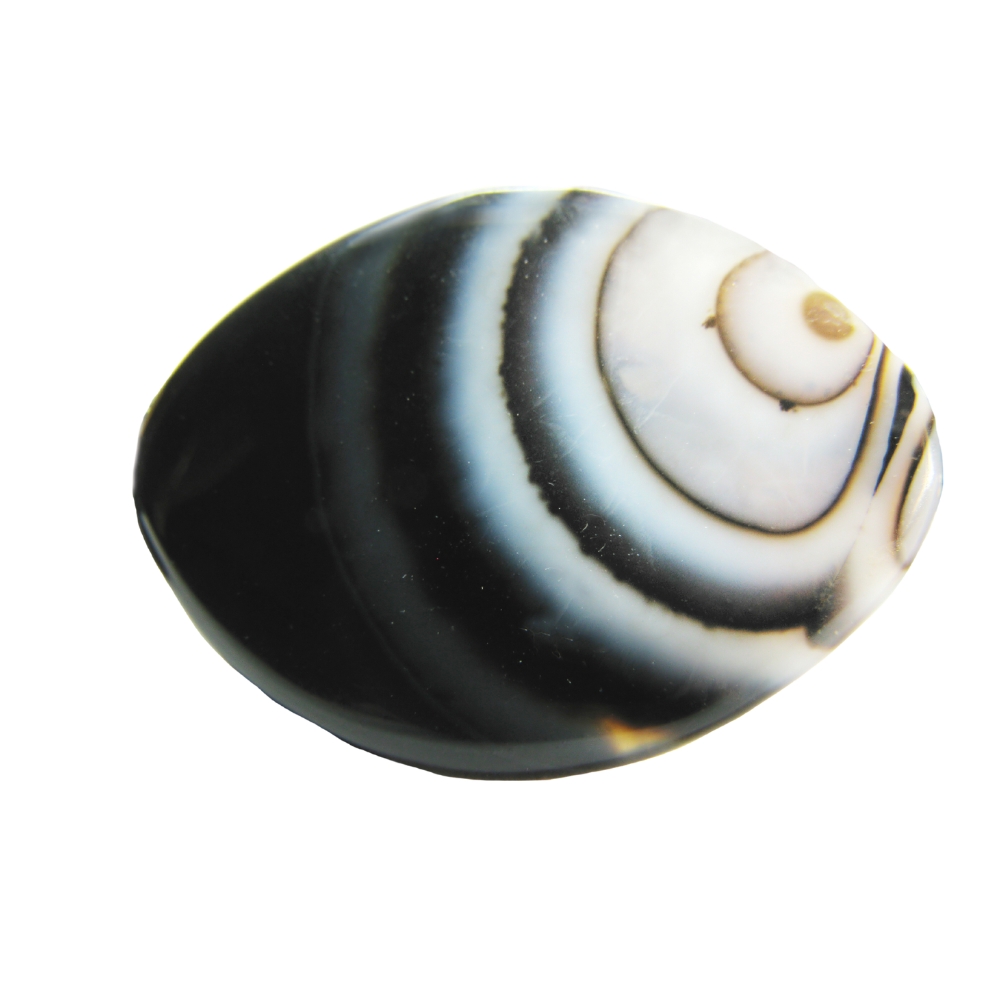 Black-and-White-Agate-