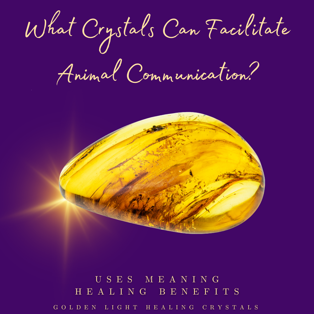 What-Crystals-Can-Facilitate-Animal-Communication