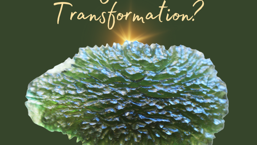 Which-crystals-Promote-Transformation